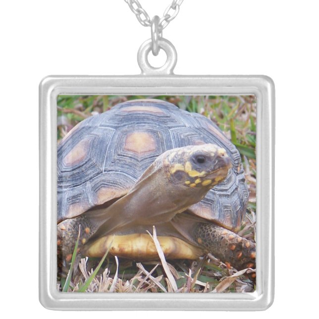 Red-Foot Tortoise Necklace (Front)