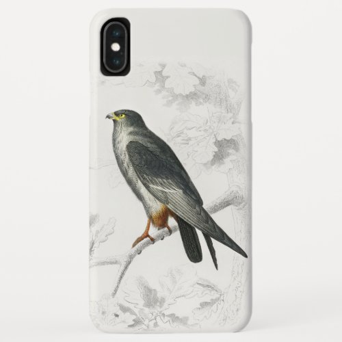 Red_footed Falcon Illustration Vintage Art Print iPhone XS Max Case