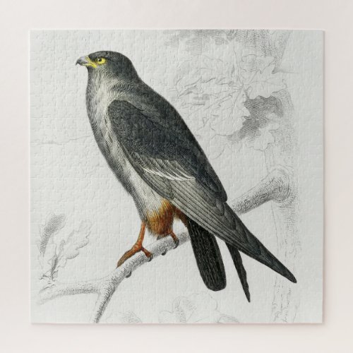 Red_footed Falcon Illustration Vintage Art Print Jigsaw Puzzle