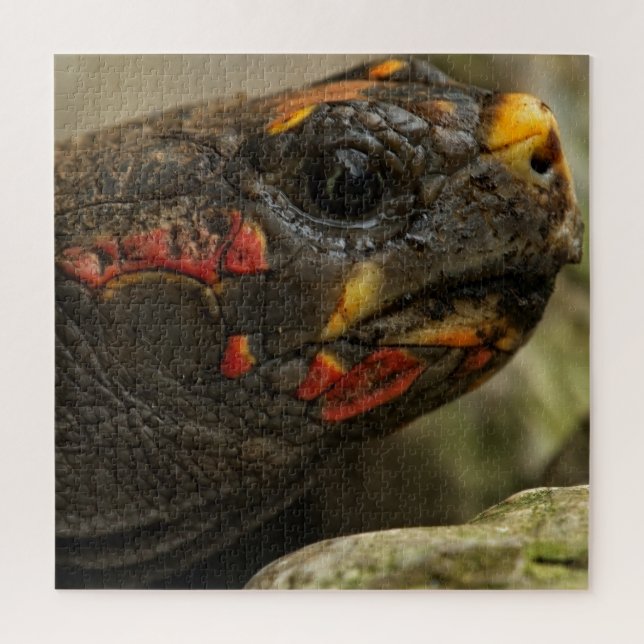 Red-Footed Tortoise Jigsaw Puzzle (Vertical)