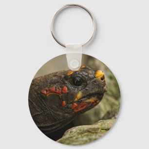 Red-Footed Tortoise Keychain