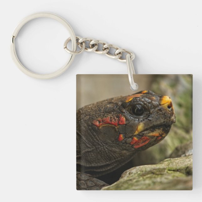 Red-Footed Tortoise Notebook Keychain (Front)
