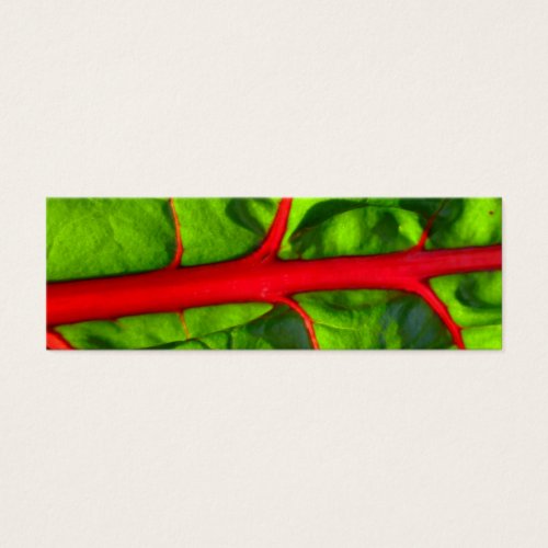 red for passion and green for hope bookmark business card template