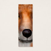 Red Fox (Back)