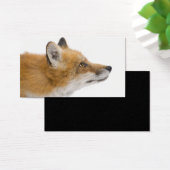 Red fox (Desk)