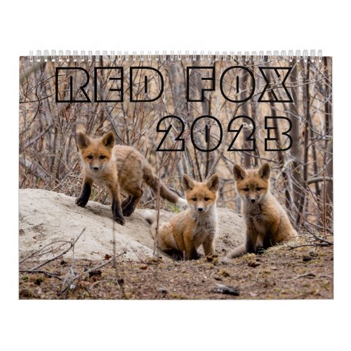 Red Fox 2023 _ Calendar