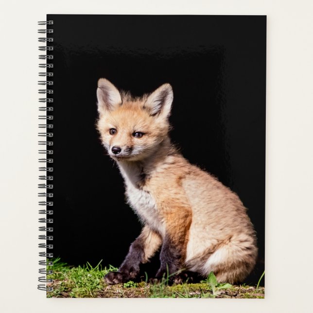 Red Fox 2026 Planner | Hudson Valley Wildlife (Front)