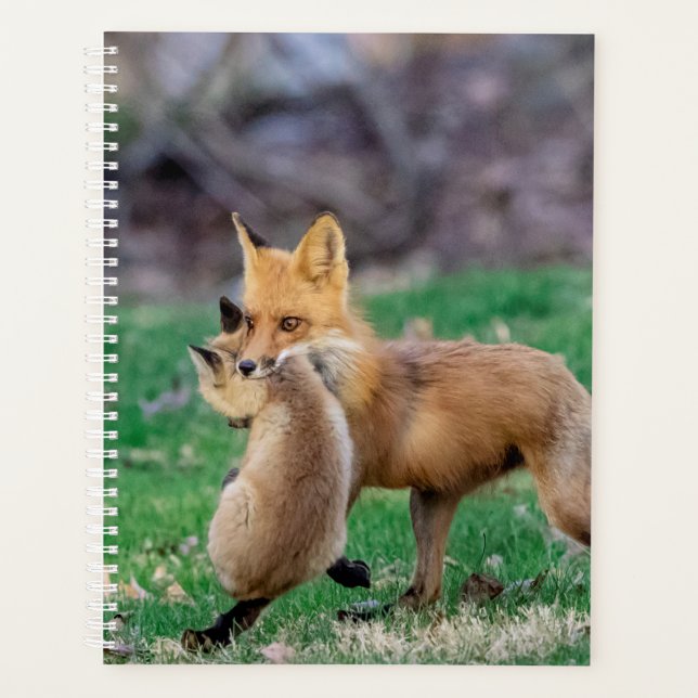 Red Fox 2026 Planner | Hudson Valley Wildlife (Front)