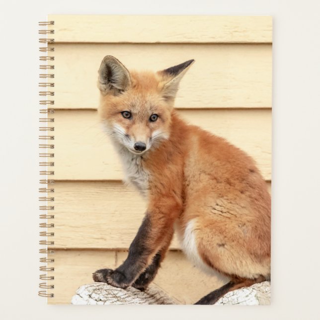 Red Fox 2026 Planner | Hudson Valley Wildlife (Front)