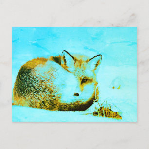 *~* Red Fox Ap18 Artistic Artsy Animal Wildlife Postcard