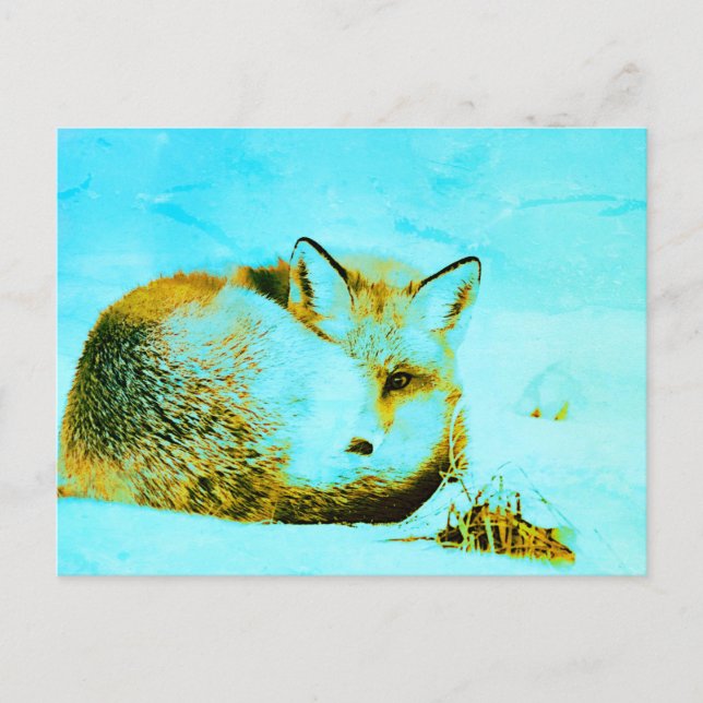 *~* Red Fox Ap18 Artistic  Artsy Animal Wildlife  Postcard (Front)