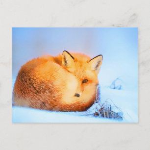 *~* Red Fox Ap18 Artistic Painting Wildlife Artsy Postcard