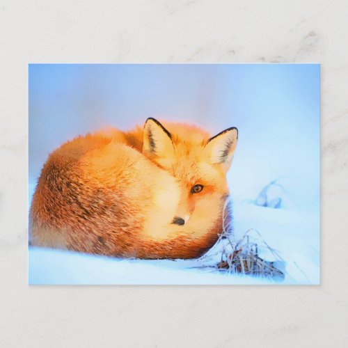  Red Fox Ap18 Artistic  Painting Wildlife Artsy Postcard