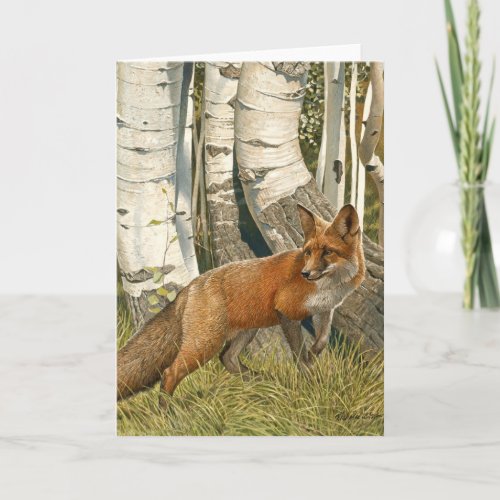 Red Fox  Aspen Trees LAST LOOK Holiday Card