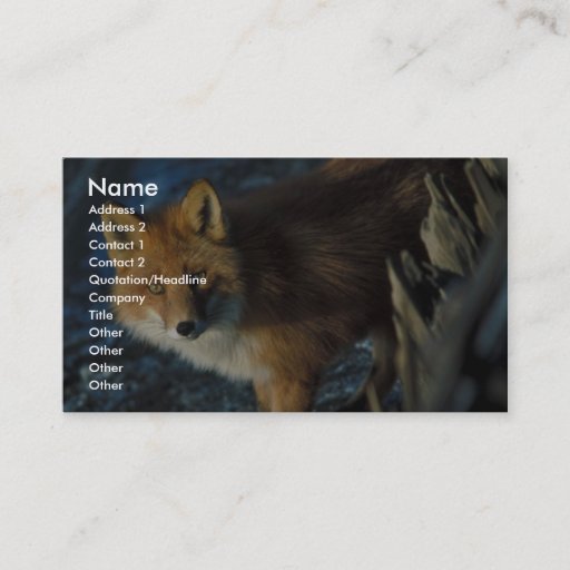 Customizable Red Fox at Shipwreck Courtney Ford Business Card