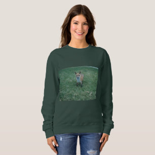 Red fox at Thousand oaks park in San Jose Sweatshirt