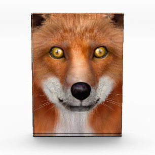 Red Fox Award