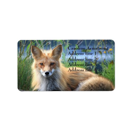 Red fox beautiful photo custom address labels