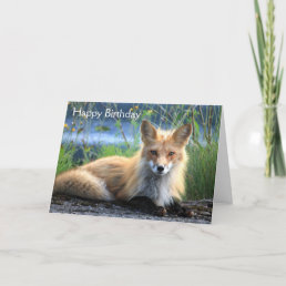 Red fox beautiful photo custom birthday card