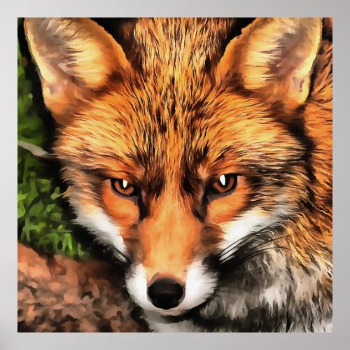 Red Fox Beautiful Wildlife Art Poster