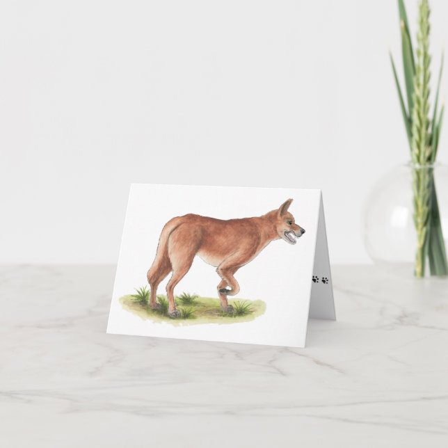 Red Fox Blank Note Card (Front)