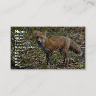 Red Fox Business Card