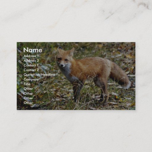 Customizable Red Fox Business Card Template