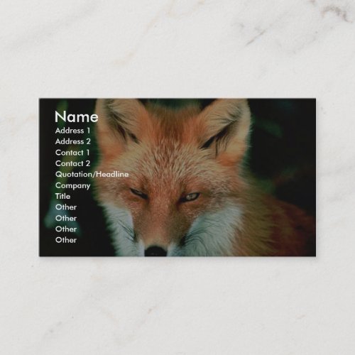 Red Fox Business Cards