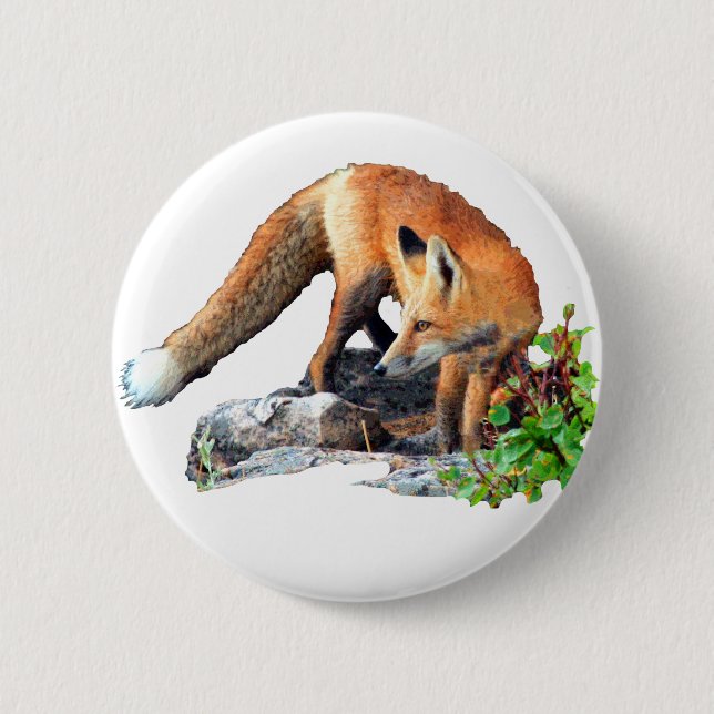 Red fox button (Front)