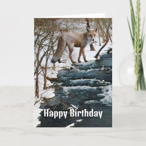 Red Fox by Creek Winter Season Birthday  Card