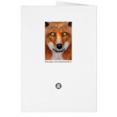 Red Fox Cards (Back)