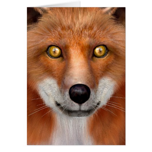 Red Fox Cards (Front)