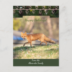 Red Fox Christmas Card