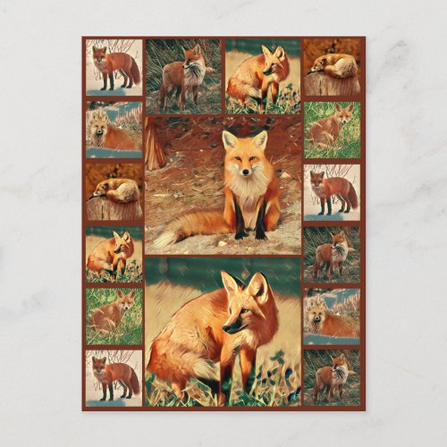 Red Fox Collection Postcard