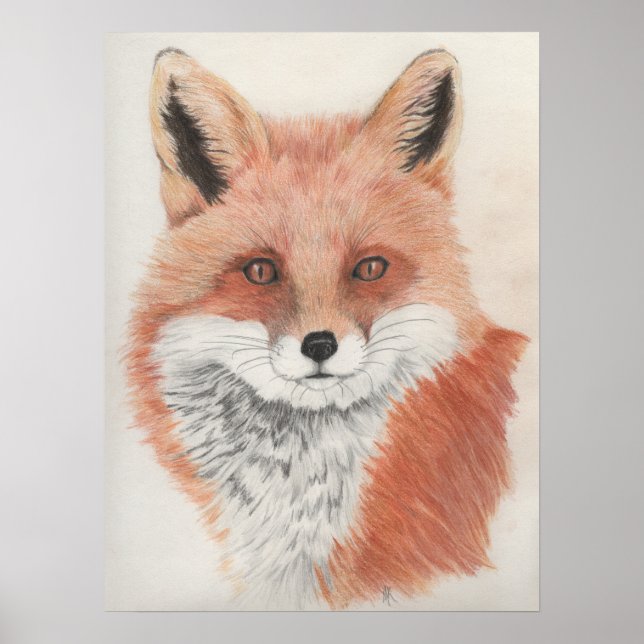 Red Fox Colored Pencil Drawing Print (Front)