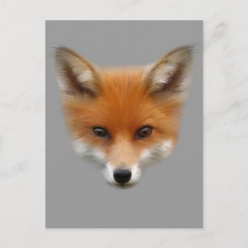 Red Fox Cub Postcard by PawsForaMoment at Zazzle