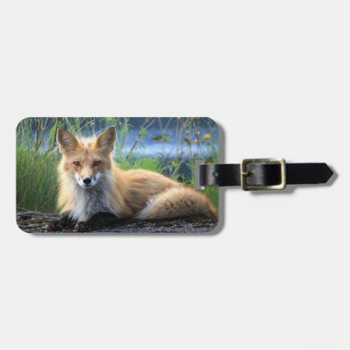Red fox custom name and address luggage tag
