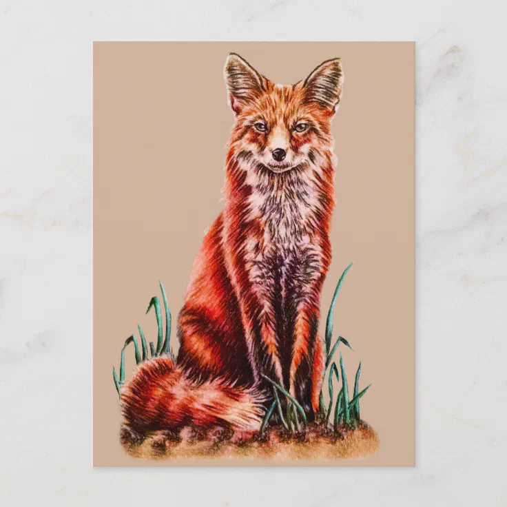 Red Fox Drawing Animal Art Pencil Sketch Foxy Postcard | Zazzle