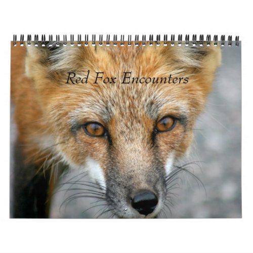 Red Fox Encounters Calendar