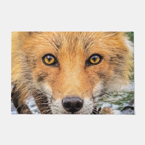 Red Fox Face _ Eyes Doormat