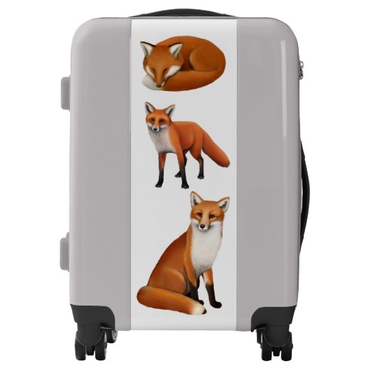 animal cabin luggage