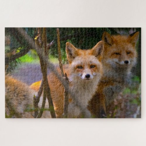 Red Fox Family Challenging Nature Lover Jigsaw Puzzle