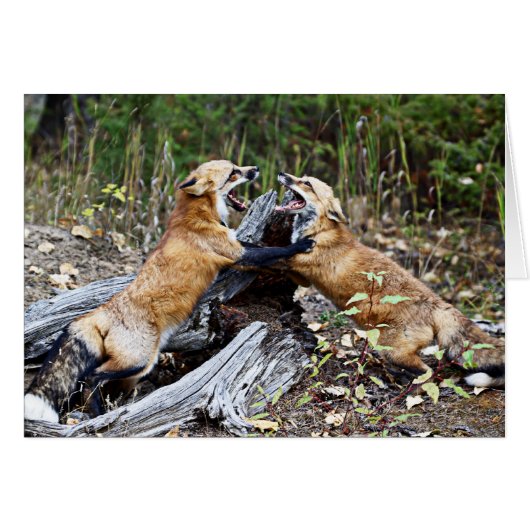 Red Fox - Fight Cards (Front Horizontal)