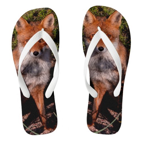 Red Fox Flip Flops