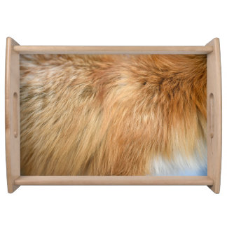 Red Fox Fur Pattern Tile Serving Tray