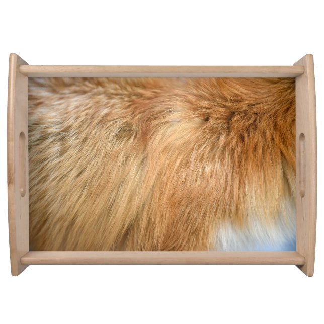 Red Fox Fur Pattern Tile Serving Tray (Front)
