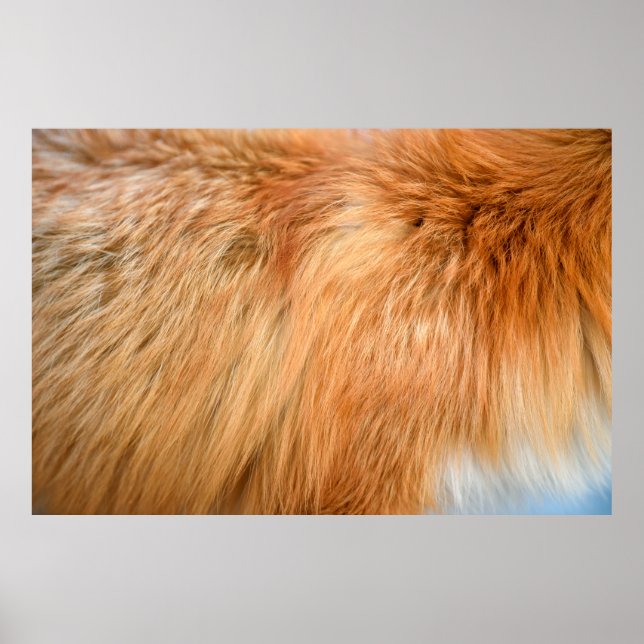 Red fox fur texture poster (Front)