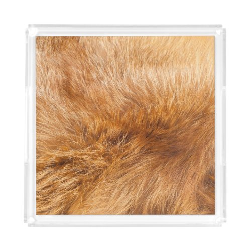 Red Fox Fur Textured Background Acrylic Tray