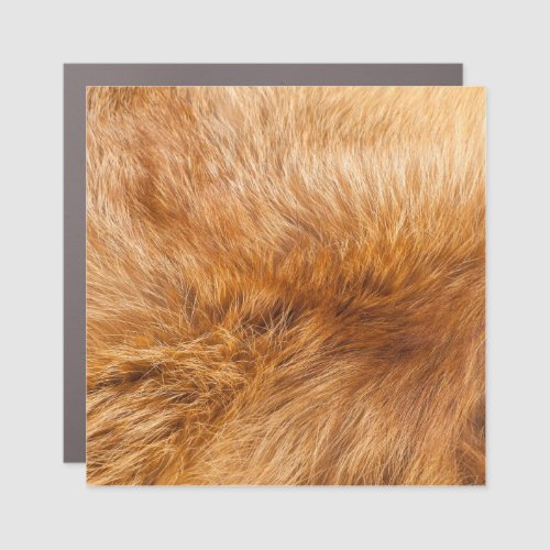 Red Fox Fur Textured Background Car Magnet