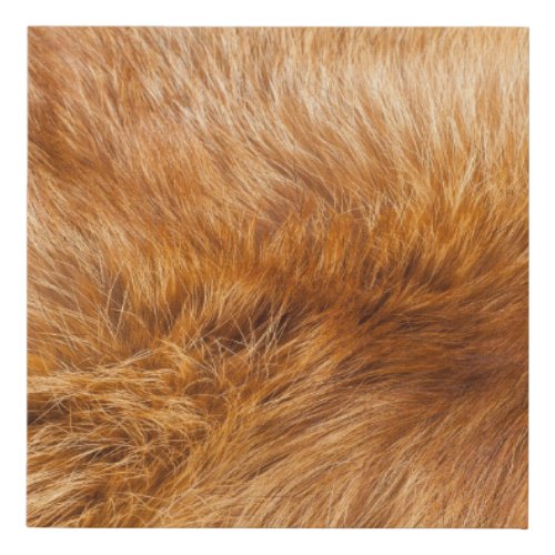 Red Fox Fur Textured Background Faux Canvas Print